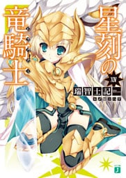 星刻の竜騎士　XIV