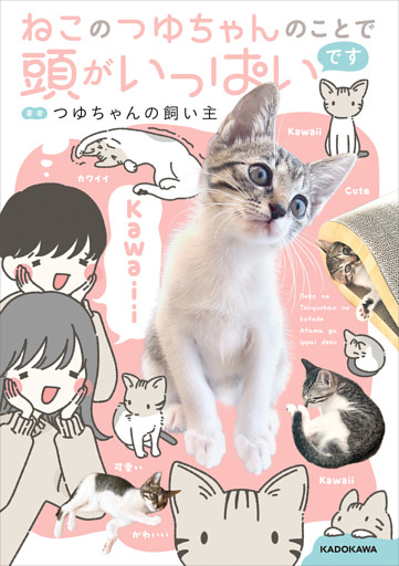 ねこのつゆちゃんのことで頭がいっぱいです