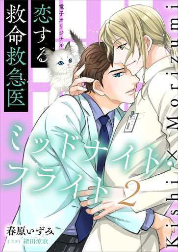 恋する救命救急医　ミッドナイト・フライト２【電子オリジナル】