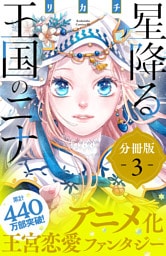 星降る王国のニナ　分冊版（３）