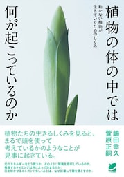 植物の体の中では何が起こっているのか