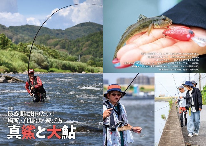 【特集】最盛期に知りたい！場所・仕掛け・遊び方　真鯊と大鮎