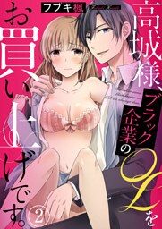 高城様、ブラック企業のOLをお買い上げです。 2巻
