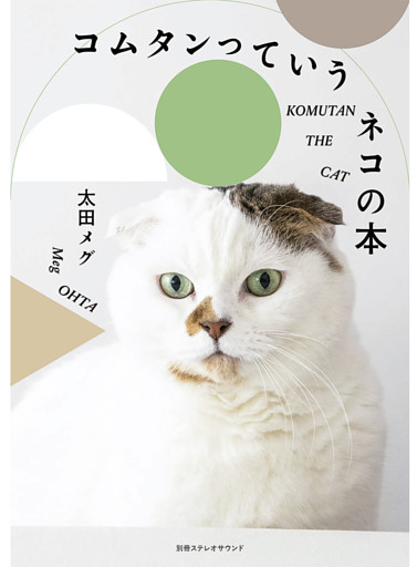 コムタンっていうネコの本