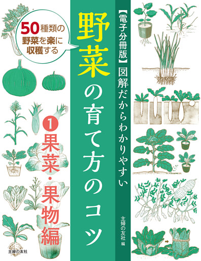 図解だからわかりやすい　野菜の育て方のコツ