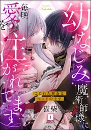 幼なじみ魔術師様に毎晩愛を注がれてます こじれた再会はベッドの上で　（1）