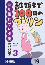 離婚まで100日のプリン【分冊版】　19