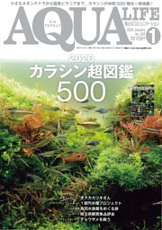 アクアライフ 1月号 | dマガジンなら人気雑誌が読み放題！