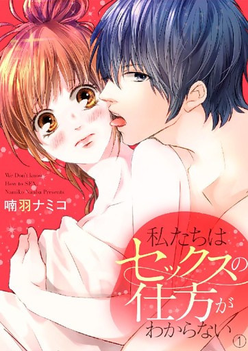 私たちはセックスの仕方がわからない【dブック特別版】
