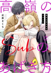 高嶺のSubのあばき方～君の心をとかすコマンド～2