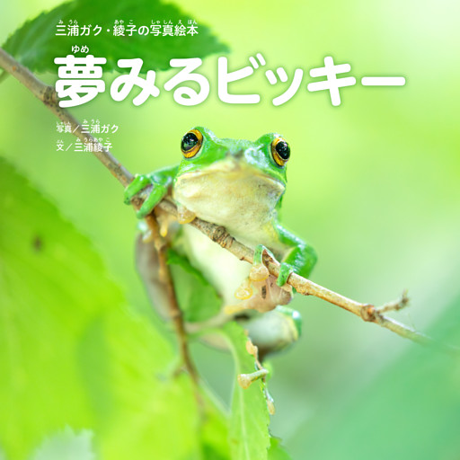 三浦ガク・綾子の写真絵本夢みるビッキー