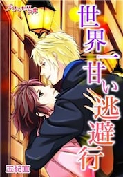 世界一甘い逃避行～あなたと出会えた奇跡の夜～