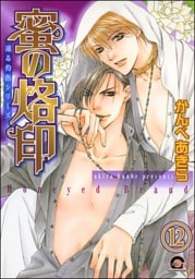 凍る灼熱（分冊版）　【第12話】