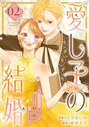 愛し子の結婚～偽装契約なのにエリート騎士様が甘すぎる～【電子単行本版／特典おまけ付き】２