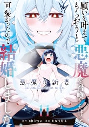 願いを叶えてもらおうと悪魔を召喚したけど、可愛かったので結婚しました　～悪魔の新妻～１１