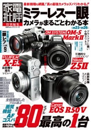 100％ムックシリーズ　ミラーレス一眼カメラがまるごとわかる本 2025-2026