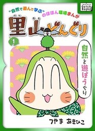 里山どんぐり 1