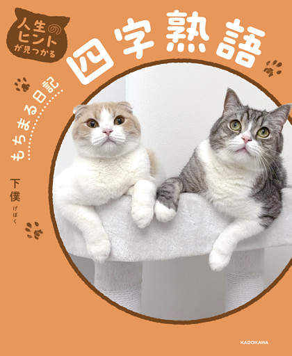 人生のヒントが見つかる　もちまる日記四字熟語