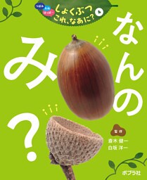 なんの　み？４　つぼみ・たね・はっぱ・・・　しょくぶつ　これ、なあに？