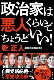 政治家は悪人くらいでちょうどいい！