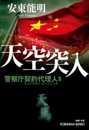 天空突入～警察庁契約代理人3～