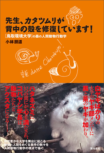 先生、カタツムリが背中の殻を修復しています！
