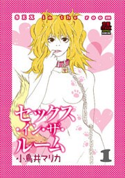 セックス・イン・ザ・ルーム 1