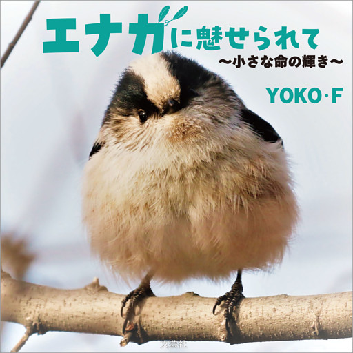 エナガに魅せられて ～小さな命の輝き～