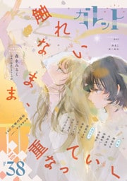 ガレット No.38