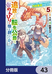 追放された転生公爵は、辺境でのんびりと畑を耕したかった ～来るなというのに領民が沢山来るから内政無双をすることに～【分冊版】　43