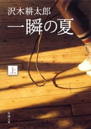 一瞬の夏