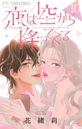 恋は空から降ってくる【マイクロ】（１０）