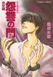 炎の蜃気楼24　怨讐の門（赤空編）