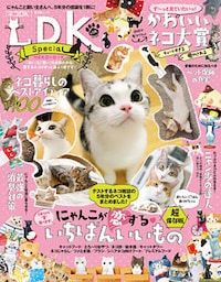 晋遊舎ムック ネコDK Special