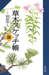草木スケッチ帳３