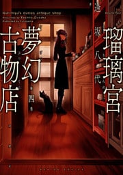 瑠璃宮夢幻古物店（４）