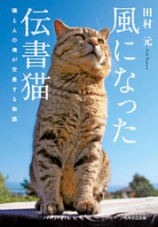 風になった伝書猫　猫と人の魂が交差する物語