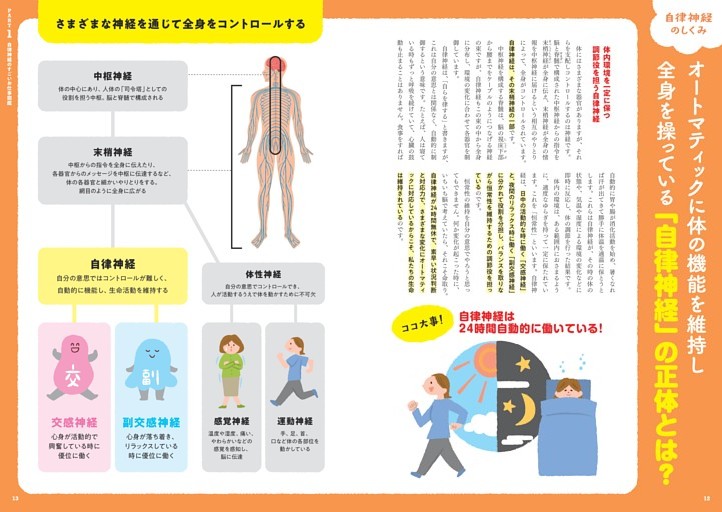 【自律神経のしくみ】オートマティックに体の機能を維持し全身を操っている「自律神経」の正体とは？