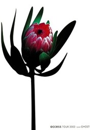 access『access TOUR 2003 ‐Livin’ GHOST‐』オフィシャル・ツアーパンフレット【デジタル版】
