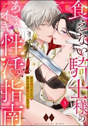 食えない騎士様のあまイキ性活指南 君の悦いところ、僕が全部教えてあげる（分冊版）　【第3話】