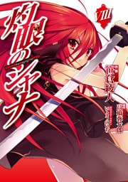 灼眼のシャナ　VIII