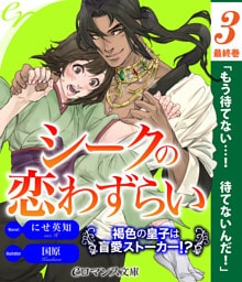 er-シークの恋わずらい　褐色の皇子は盲愛ストーカー！？［３］