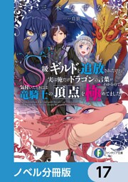 Ｓ級ギルドを追放されたけど、実は俺だけドラゴンの言葉がわかるので、気付いたときには竜騎士の頂点を極めてました。【ノベル分冊版】　17