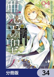 亜空の聖女 ～妹に濡れ衣を着せられた最強魔術師は、正体を隠してやり直す～【分冊版】　34