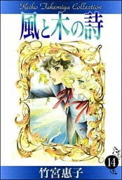 風と木の詩　（14）