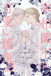 宰相閣下の可愛い護衛２【７】