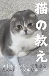 猫の教え