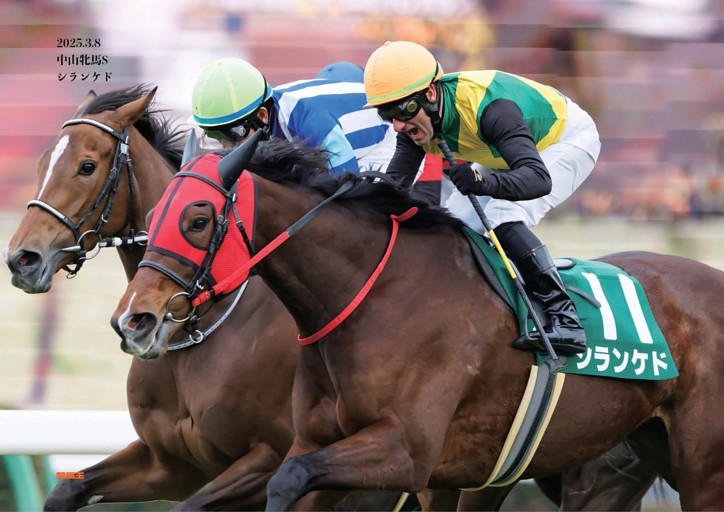 WEB特典「人気馬デジタル写真集」