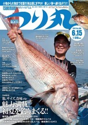 つり丸 2017年 6/15号
