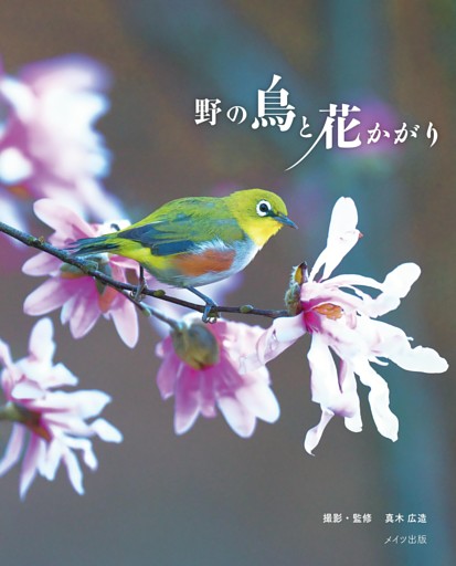 野の鳥と花かがり